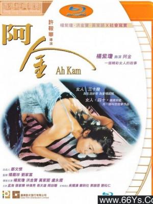 历史重现